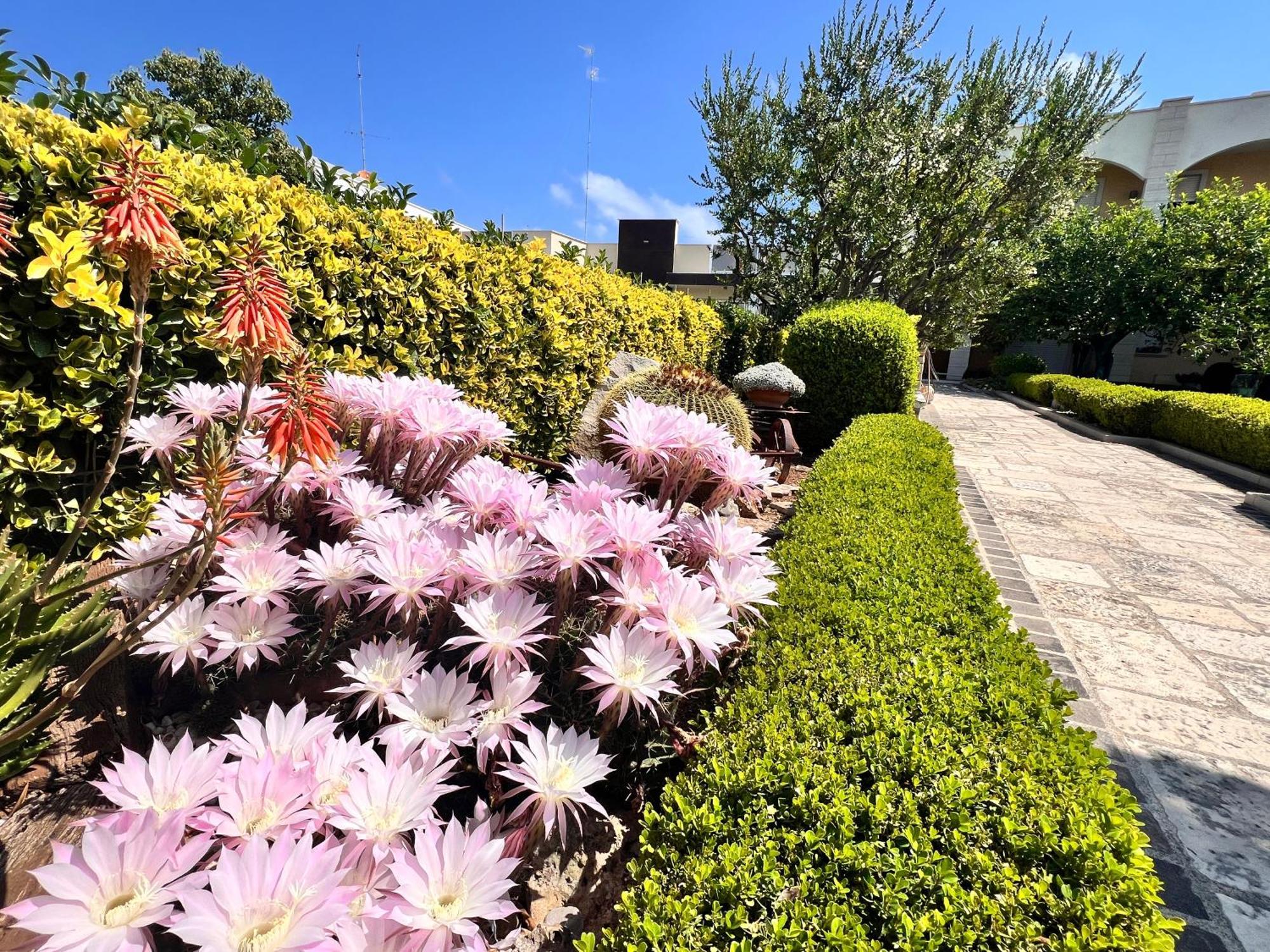 Bed and breakfast La Rosa Blu