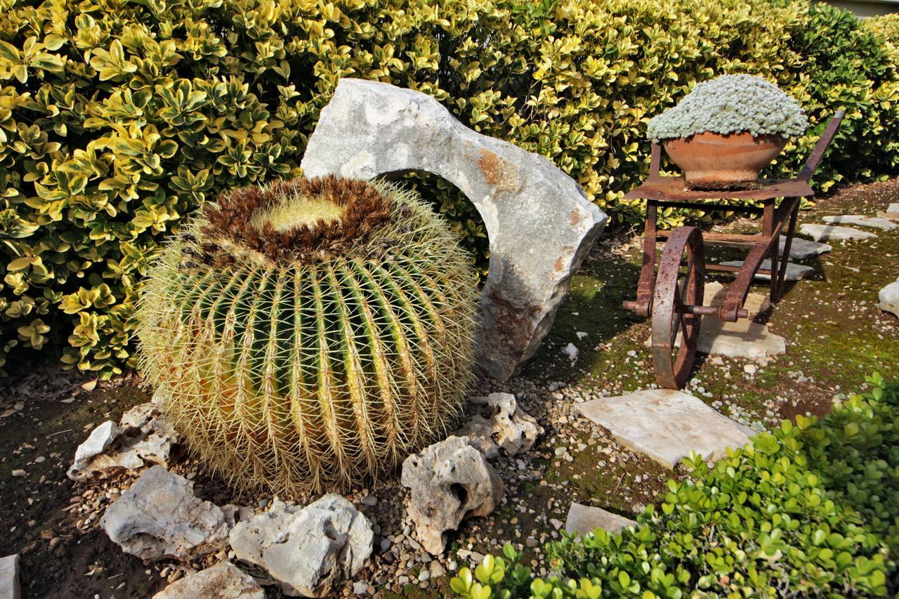 Bed and breakfast La Rosa Blu 2*